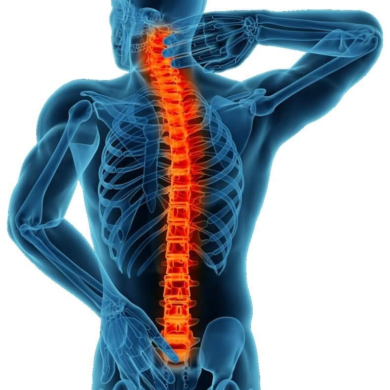 Representación de la alineación de columna vertebral y desbloqueo de energía en alphabiotismo