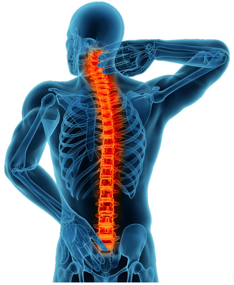 Representación de la sanación holística y el equilibrio energético del cuerpo en Alphabiotista Sanador Deportivo Élite